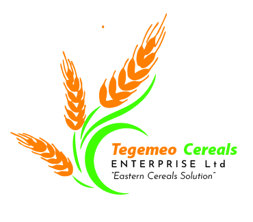 Tegemeo Cereals Enterprise Limited logo