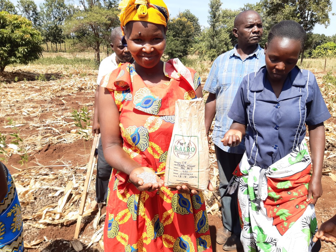 Farmers presenting resilient seed during a Tegemeo Cereals field activity