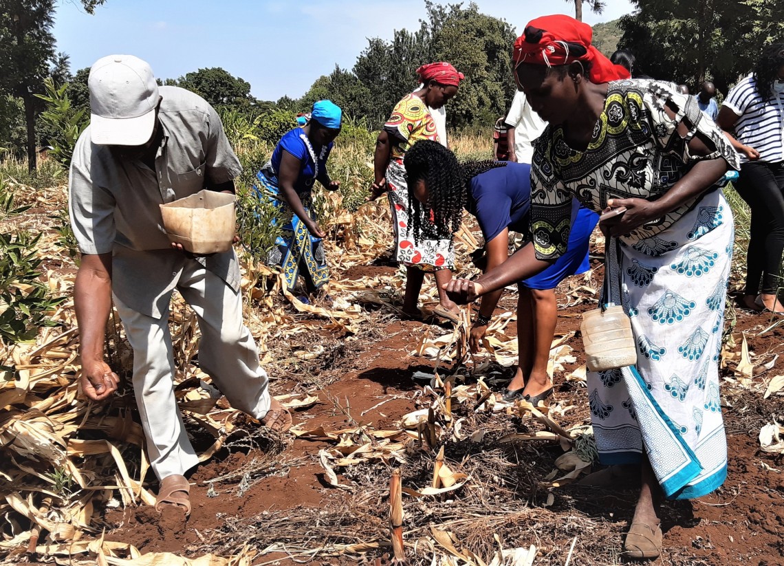 Farmers receiving practical field training in a dryland farming plot