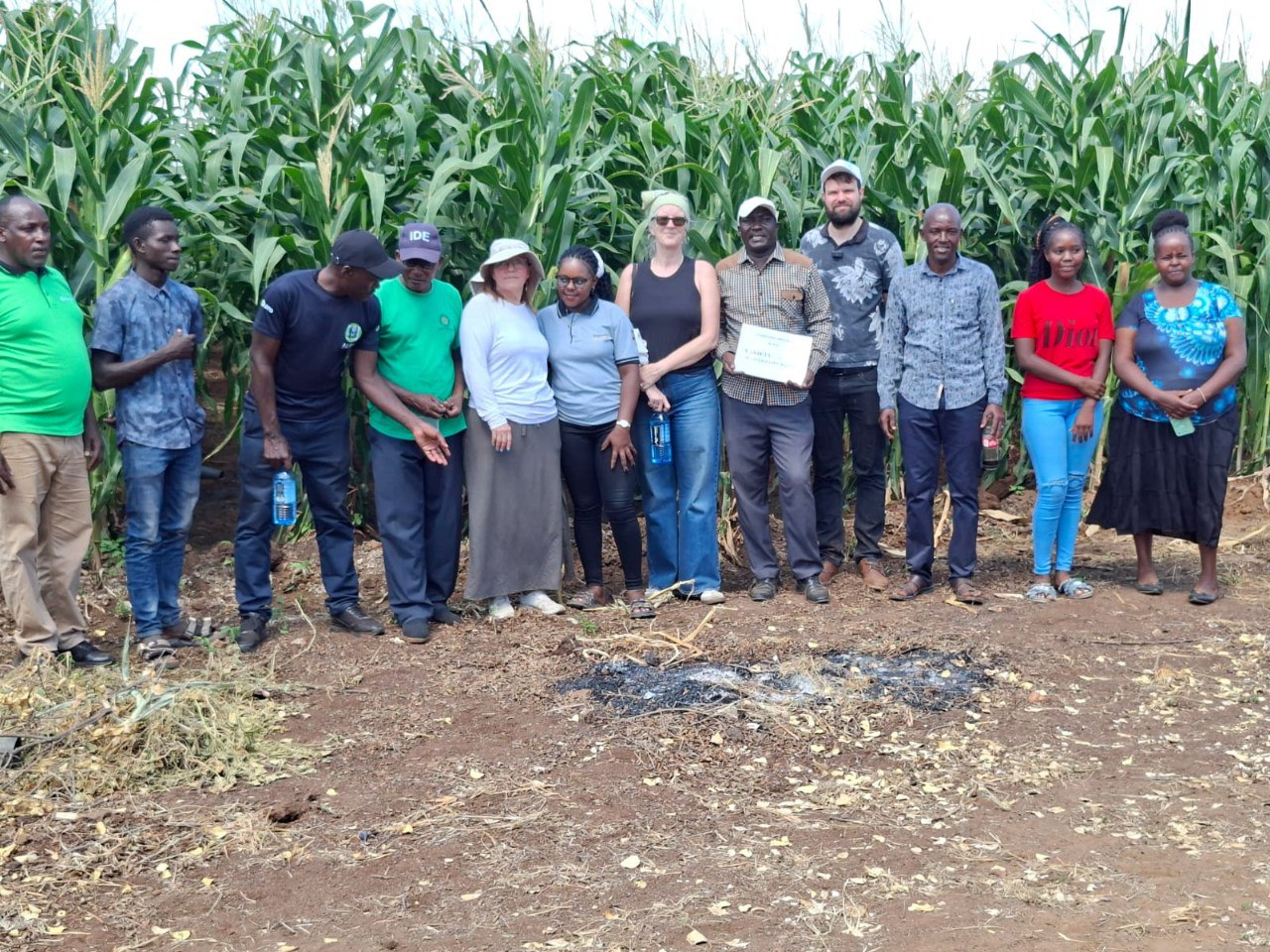 Tegemeo Cereals field group standing beside a maize crop demonstration plot